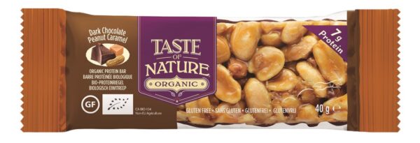 Taste of Nature Bio  Protein Peanut  40g x 16