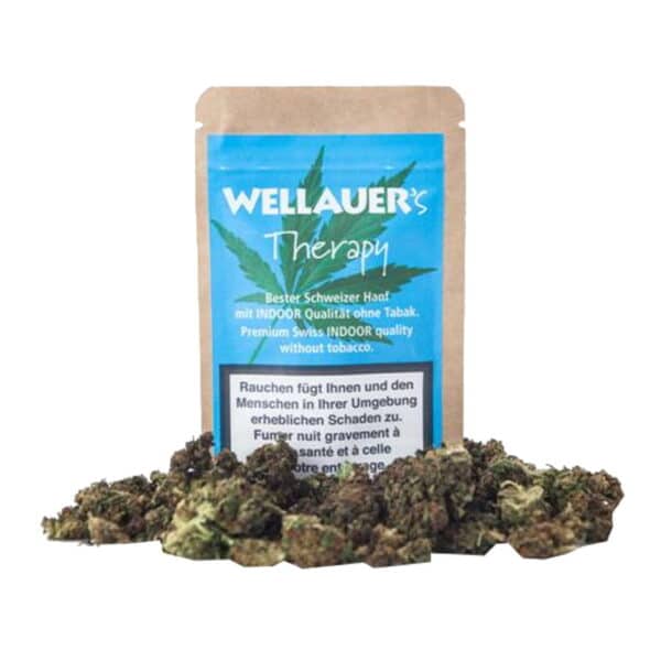 Wellauer CBD  Therapy 3  3g  Btl. x 1