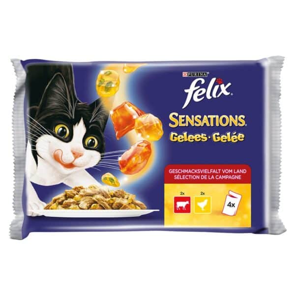 Purina Felix Gelee Sensations 4x100g x 10
